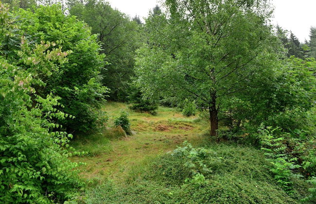 Spacious Apartment in Rattlar near Forest - Foto 45