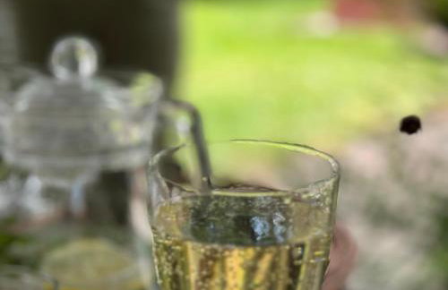 Kaszubski Zakątek Niesiołowice - Foto 45