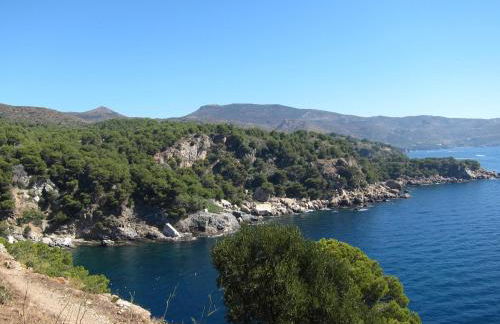 CASA WENDY. Casa con vistas y piscina en plena naturaleza - ES-258-71 - Foto 25