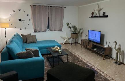Apartman Staro Petrovo Selo - Foto 1