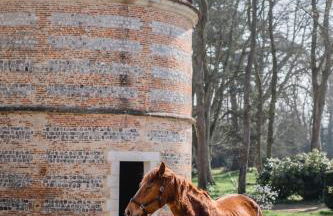 Château de Saint-Clair - Foto 15