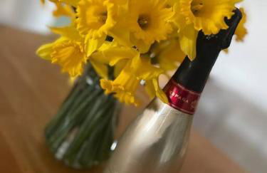 Poplar holiday cottage - Foto 17