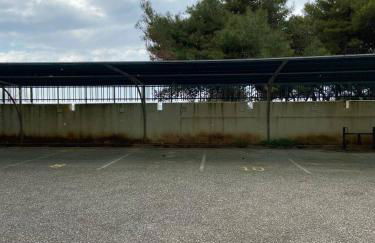 La Fenice sulla spiaggia - Foto 12