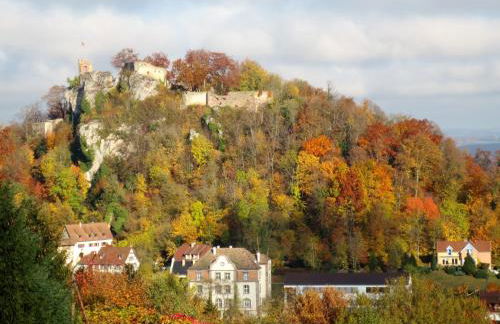 La Maison des Fontaines D'alsace - Foto 41