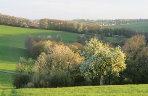 Ferienwohnung Marianne und Heinz - Foto 30