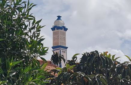 Monte da ti Luzia - Foto 11