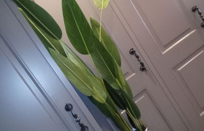 S3 King Residence - Foto 4