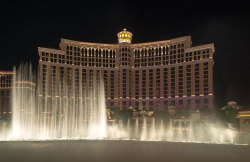 Black Mountain Rose - Foto 31