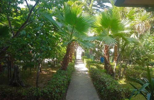 Cottage Milvia - Foto 34