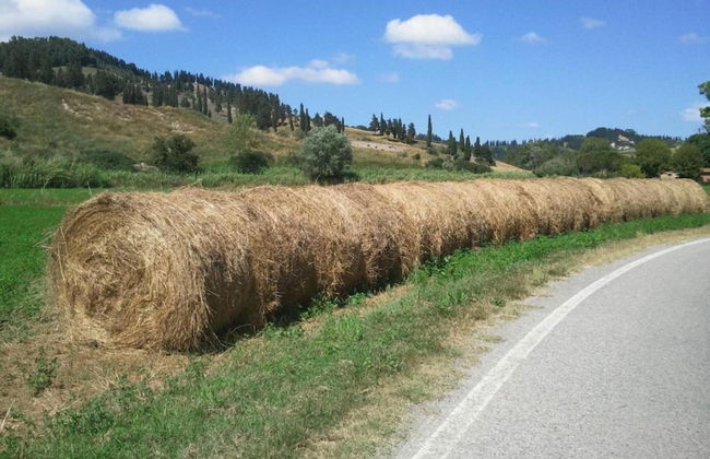 Lavish Villa in Peccioli - Foto 39