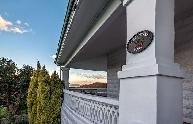 Serpentine Rose - Photo 23