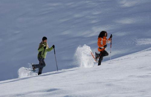 Residence Texel - Photo 14