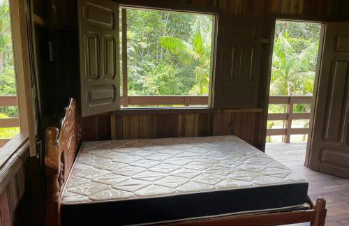 Sitio para COP30 - Foto 11