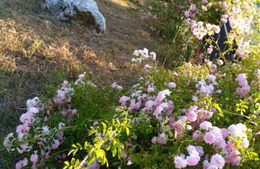 La Locanda dei Cavalieri - Foto 6