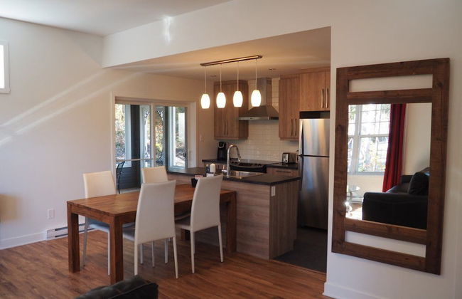 Domaine du parc de la forêt ouareau - Photo 20