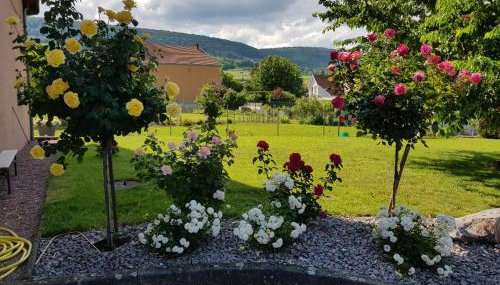 Grande terrasse, route des vins, domaine viticole 'riesling' - Foto 2, Garden