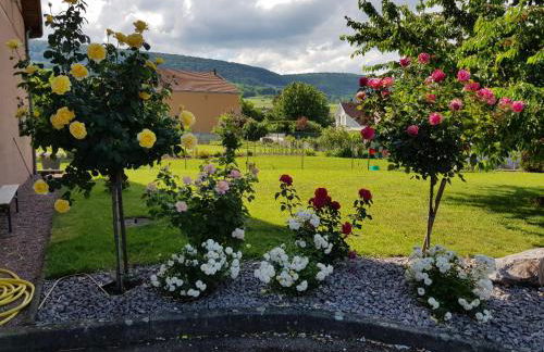 Route des vins d'Alsace, domaine viticole 'Pinot Gris' - Foto 30