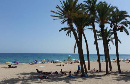 Apartment Palasiet - Photo 38