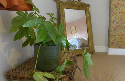 Royal Oak Retreat 2-bed - Sleeps 6 & Pet Friendly - Photo 71