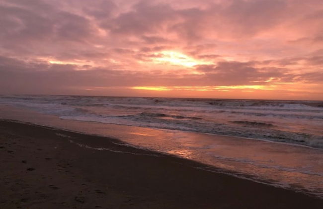 Chic Beachside Stay w/ Sauna - Foto 20