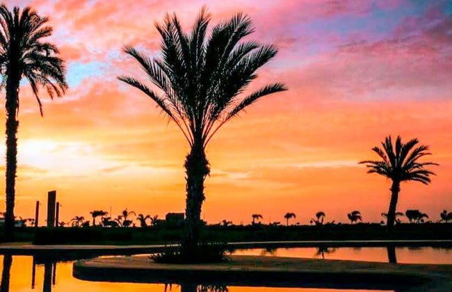 HOP Aruba Exclusiva Oasis y Playa en Chincha - Foto 61