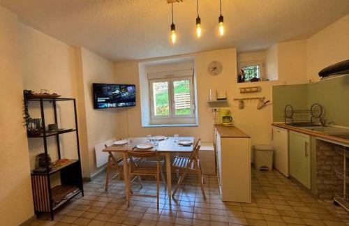 T3 confort à Ax - randos, ski et relaxation - Foto 2