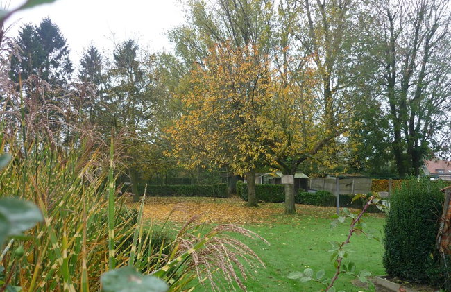 Family Home With Garden - Foto 24