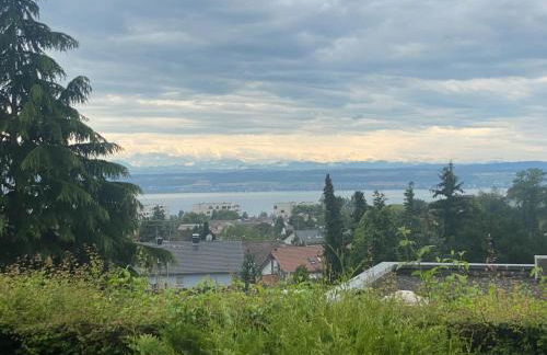 Kleine Perle mit Bodenseeblick und Sonnenterrasse - Foto 5