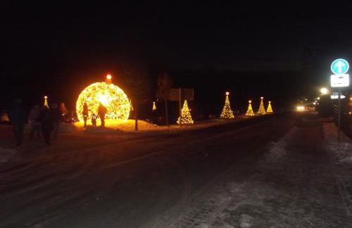 Zum Hecht, FeWo Spitzberg - Foto 74