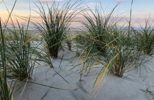 Ferienkate Norddeich - Foto 16