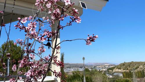 Quinta de Argos - Foto 5