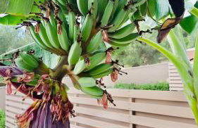 Epos Villas & Luxury Studios - Foto 55