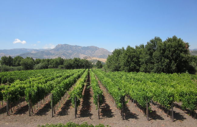 Tenuta Antica Cavalleria - Foto 47