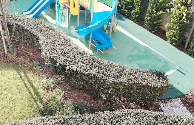 Bellicity Apart Complex - Foto 50