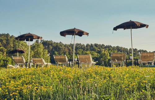 Il Casale di Santamettole - Foto 22