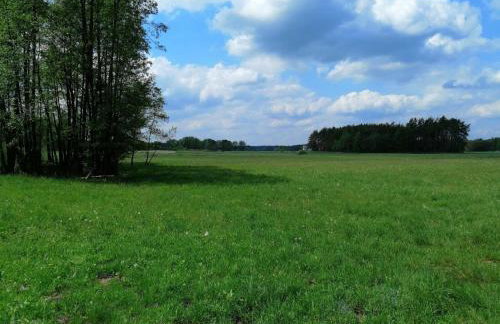 Leśny Zakątek Lipinki Bory Tucholskie - sauna - Foto 34