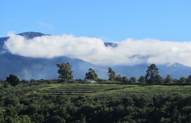 The Carraighs - Foto 27