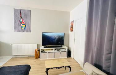 Cocon Lyon, terrasse, WIFI, bus - Foto 21