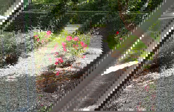 Gutshof Rothensande - Foto 42