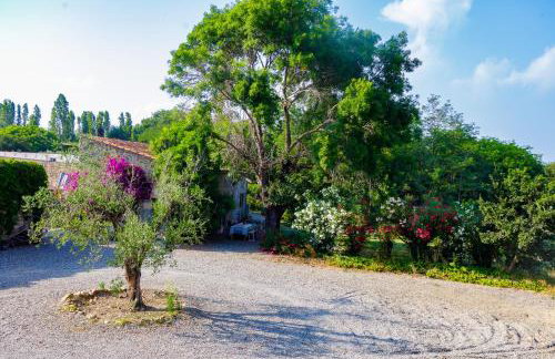 Suite du Domaine Marquiliani - Foto 6
