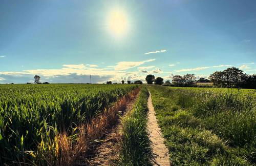 Lavender Cottage, Clare - Foto 19