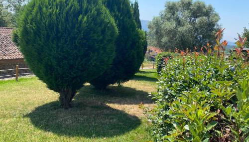 VILLA SOLLEIRO - Photo 2