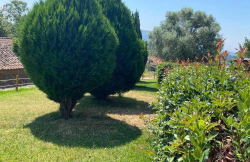 VILLA SOLLEIRO - Photo 2