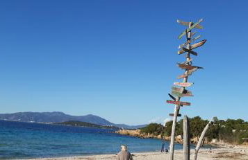 Camélia Plein Soleil Bord de Plage - Photo 28