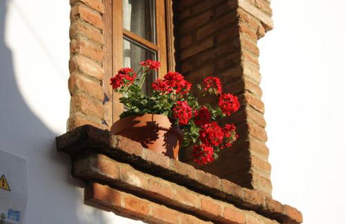 Apartamento Rural Las Palmeras - Foto 34