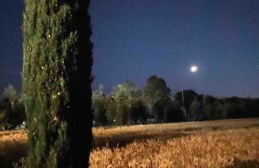 dalla campagna al mare - Foto 25