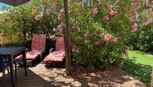 Les vagues du Sud - Photo 3