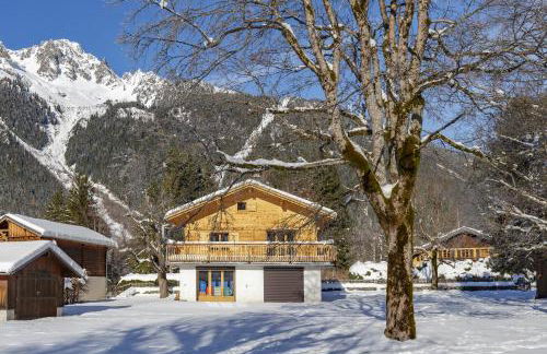 Cyclamens - Cosy Chalet 500m Flegere Cheminee Vue Garage - Foto 1