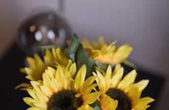 Entire home in Staffordshire - Foto 15