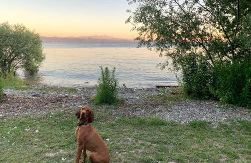 Seedomizil - Foto 33